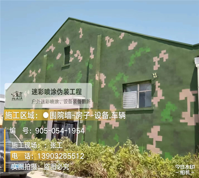资阳外墙数码迷彩漆施工报价清单（100㎡标准墙面测算）
